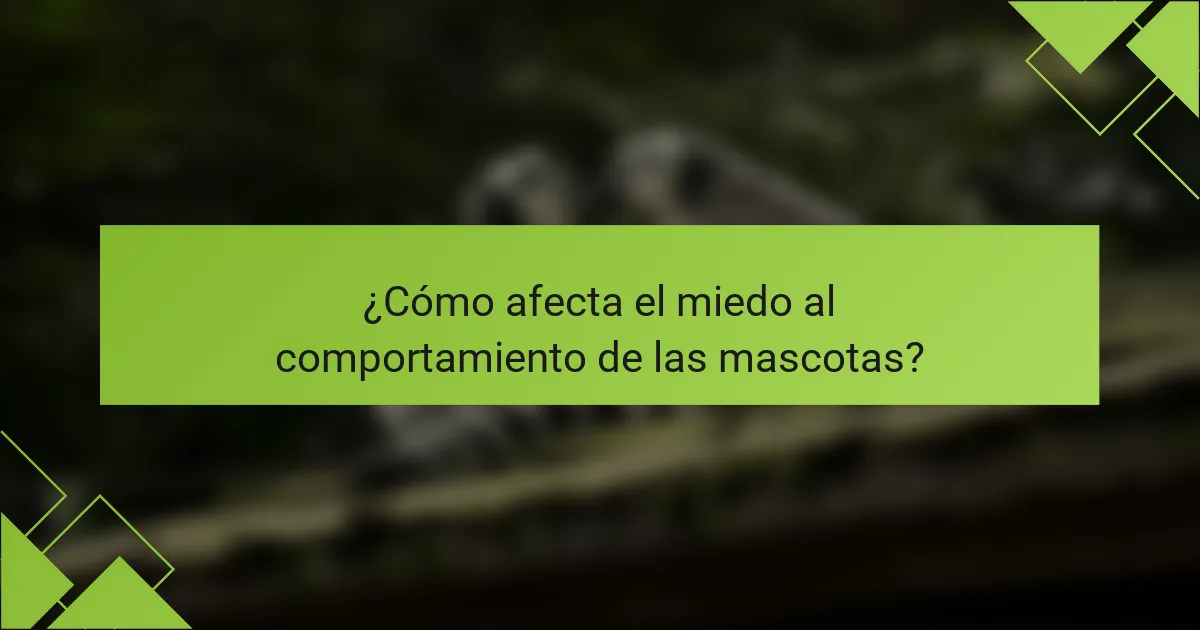 ¿Cómo afecta el miedo al comportamiento de las mascotas?