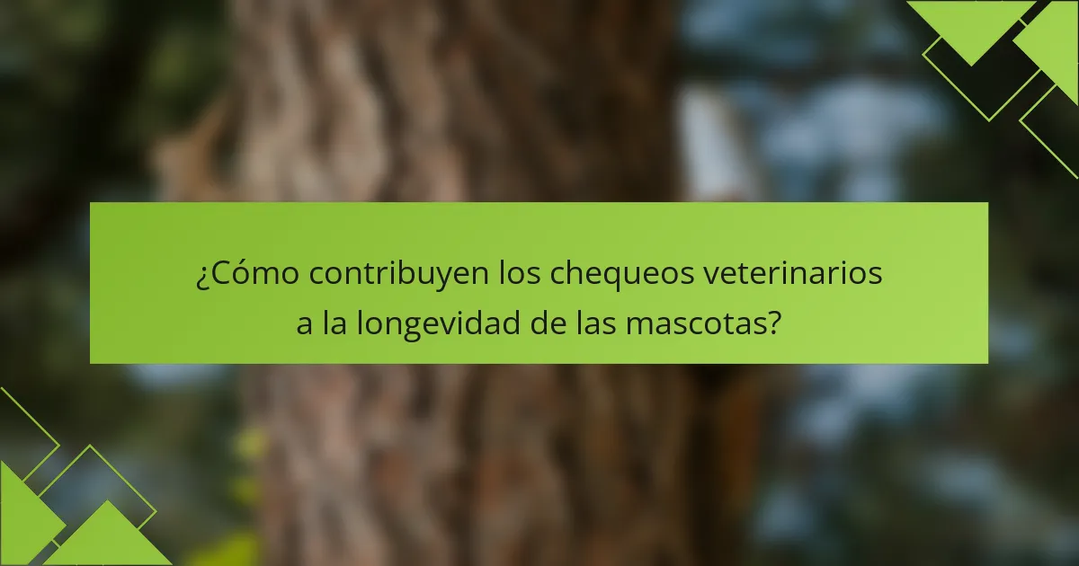 ¿Cómo contribuyen los chequeos veterinarios a la longevidad de las mascotas?