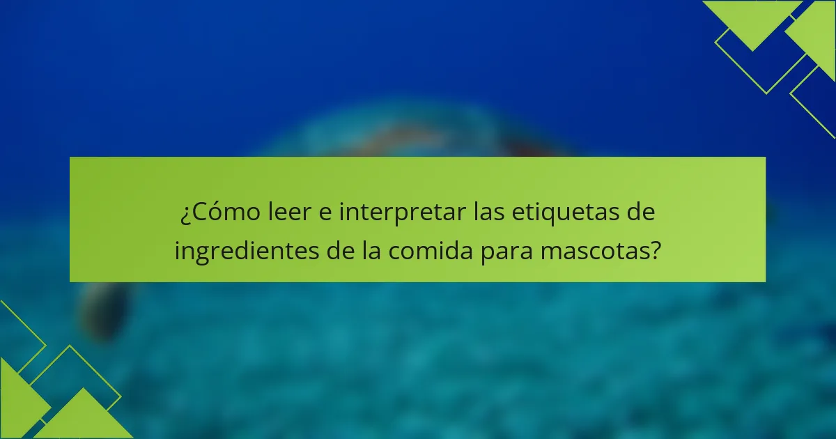 ¿Cómo leer e interpretar las etiquetas de ingredientes de la comida para mascotas?