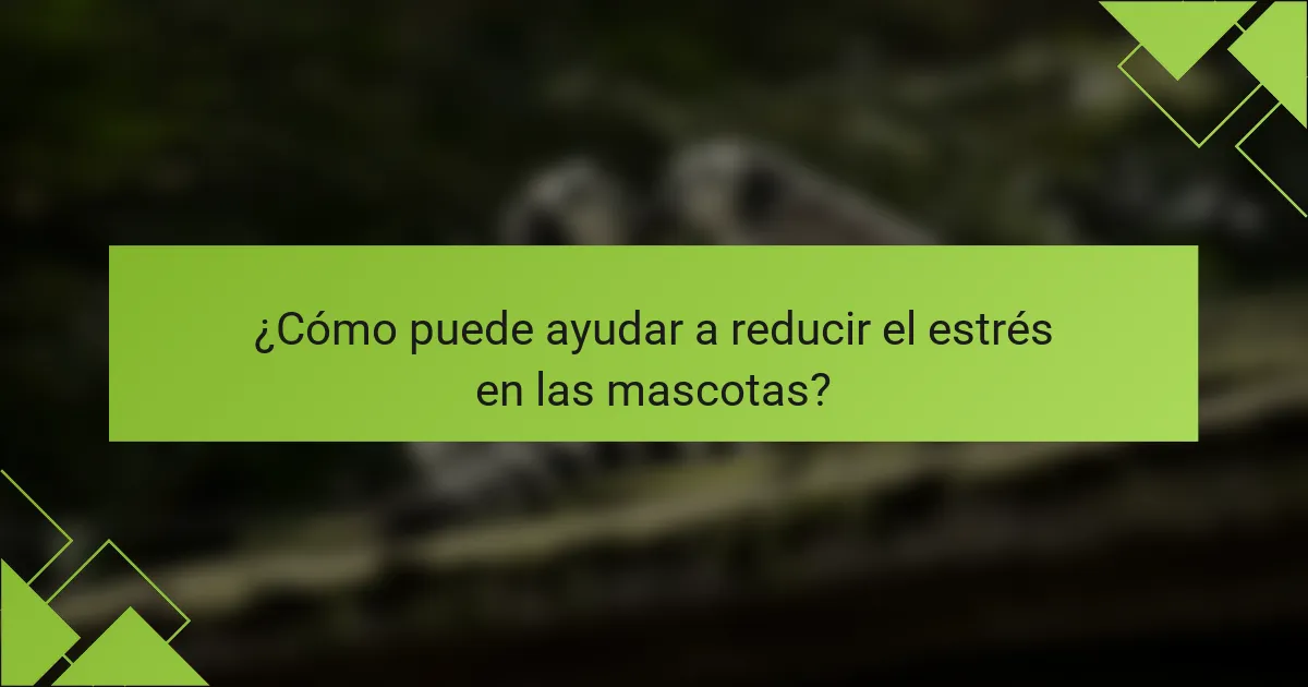 ¿Cómo puede ayudar a reducir el estrés en las mascotas?