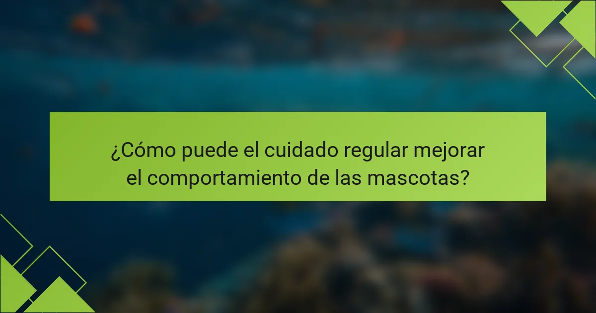 ¿Cómo puede el cuidado regular mejorar el comportamiento de las mascotas?