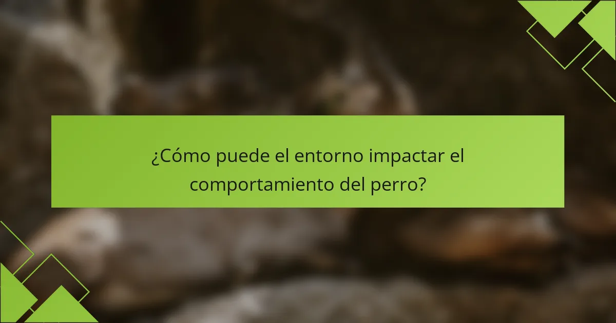 ¿Cómo puede el entorno impactar el comportamiento del perro?