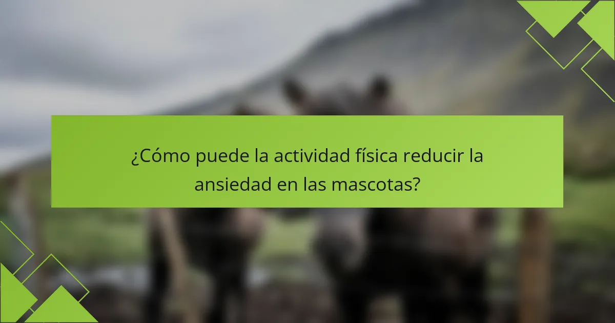 ¿Cómo puede la actividad física reducir la ansiedad en las mascotas?