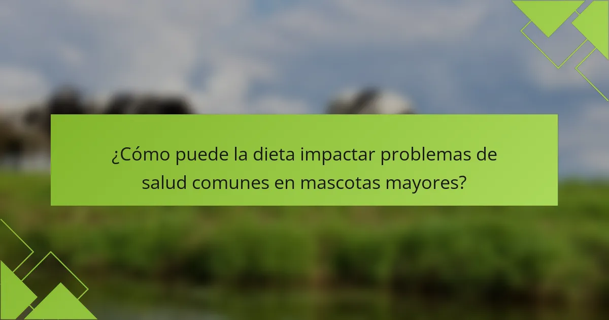 ¿Cómo puede la dieta impactar problemas de salud comunes en mascotas mayores?