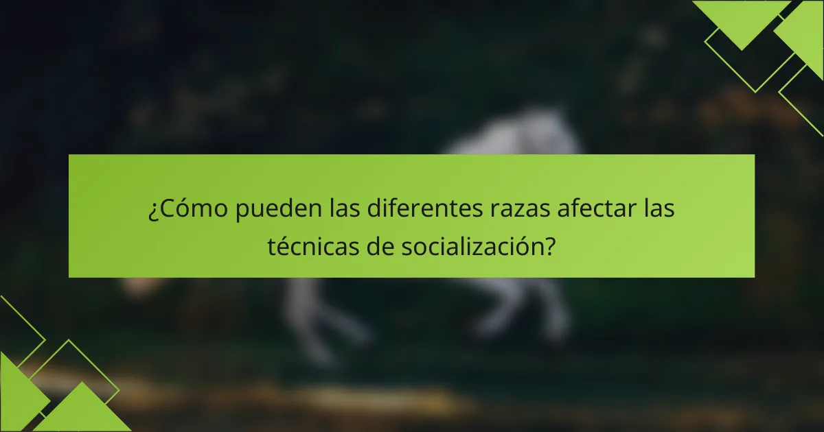 ¿Cómo pueden las diferentes razas afectar las técnicas de socialización?