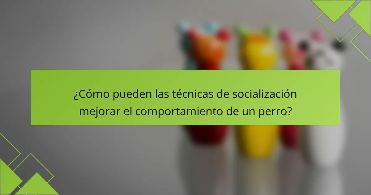 ¿Cómo pueden las técnicas de socialización mejorar el comportamiento de un perro?