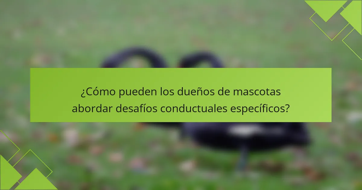 ¿Cómo pueden los dueños de mascotas abordar desafíos conductuales específicos?