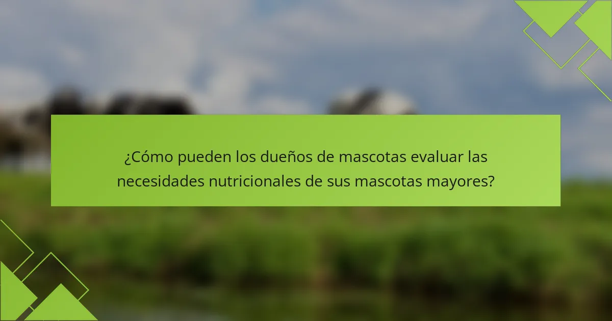 ¿Cómo pueden los dueños de mascotas evaluar las necesidades nutricionales de sus mascotas mayores?