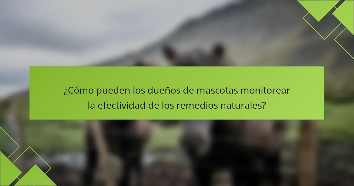 ¿Cómo pueden los dueños de mascotas monitorear la efectividad de los remedios naturales?
