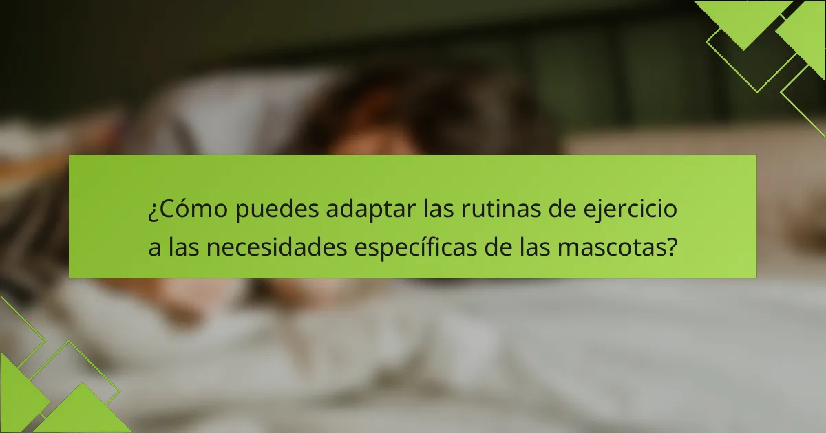 ¿Cómo puedes adaptar las rutinas de ejercicio a las necesidades específicas de las mascotas?