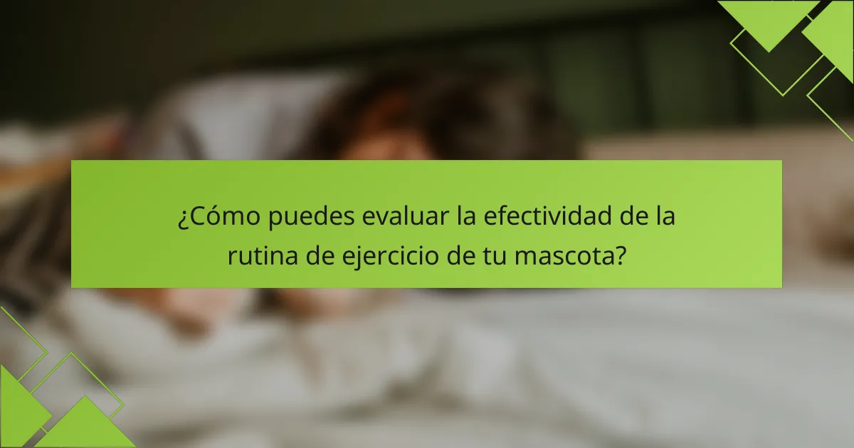 ¿Cómo puedes evaluar la efectividad de la rutina de ejercicio de tu mascota?