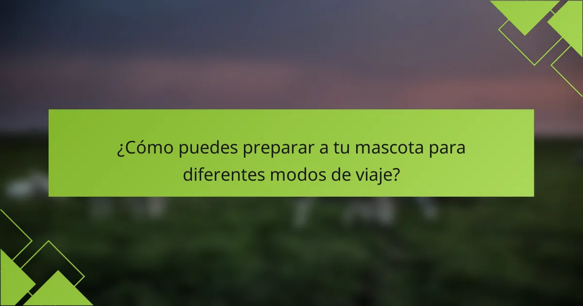 ¿Cómo puedes preparar a tu mascota para diferentes modos de viaje?