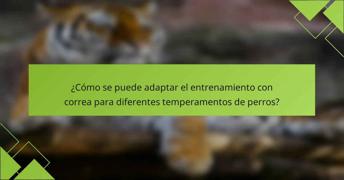 ¿Cómo se puede adaptar el entrenamiento con correa para diferentes temperamentos de perros?