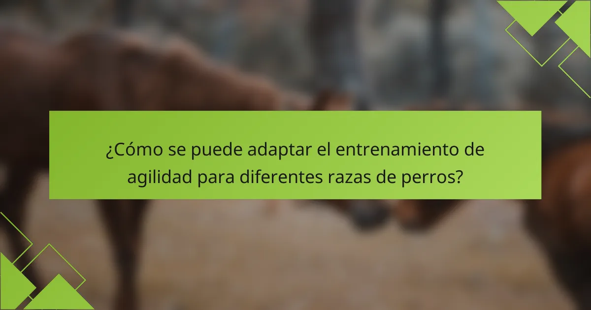 ¿Cómo se puede adaptar el entrenamiento de agilidad para diferentes razas de perros?