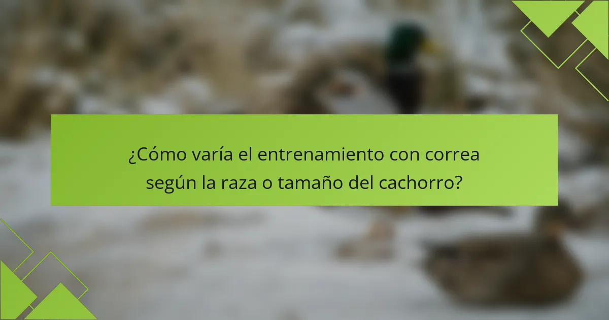 ¿Cómo varía el entrenamiento con correa según la raza o tamaño del cachorro?
