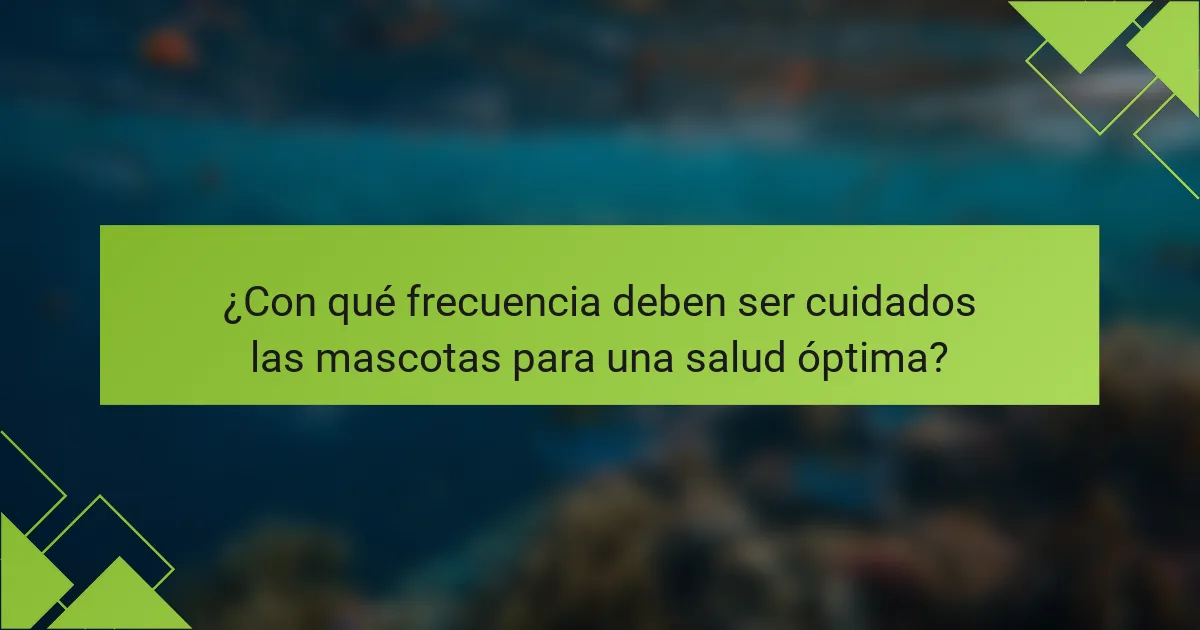 ¿Con qué frecuencia deben ser cuidados las mascotas para una salud óptima?