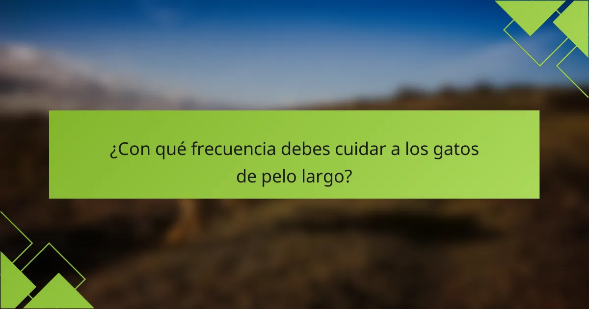 ¿Con qué frecuencia debes cuidar a los gatos de pelo largo?