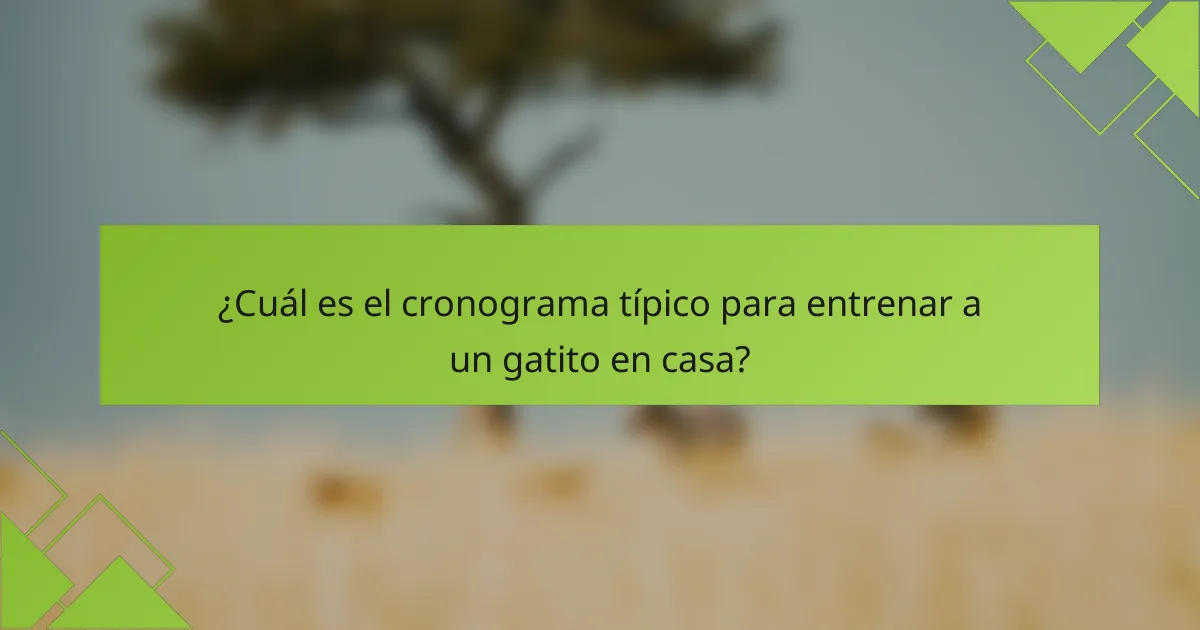 ¿Cuál es el cronograma típico para entrenar a un gatito en casa?