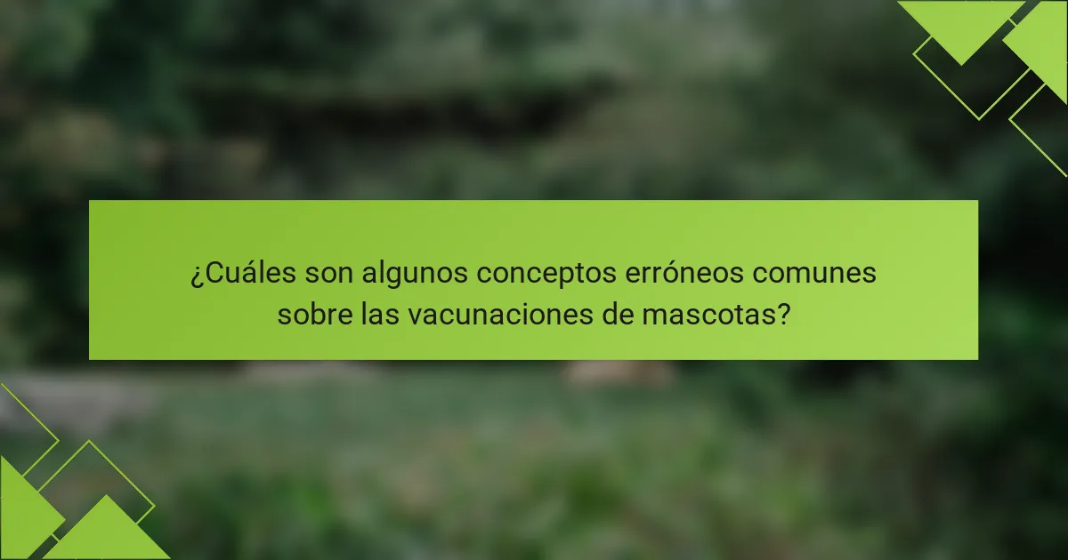 ¿Cuáles son algunos conceptos erróneos comunes sobre las vacunaciones de mascotas?