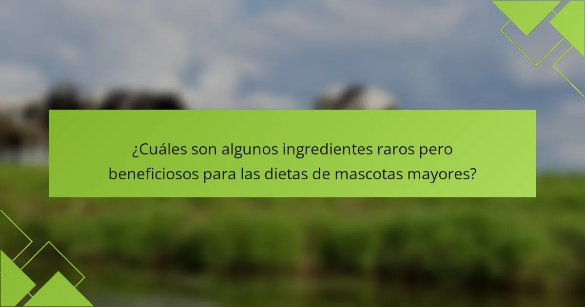 ¿Cuáles son algunos ingredientes raros pero beneficiosos para las dietas de mascotas mayores?