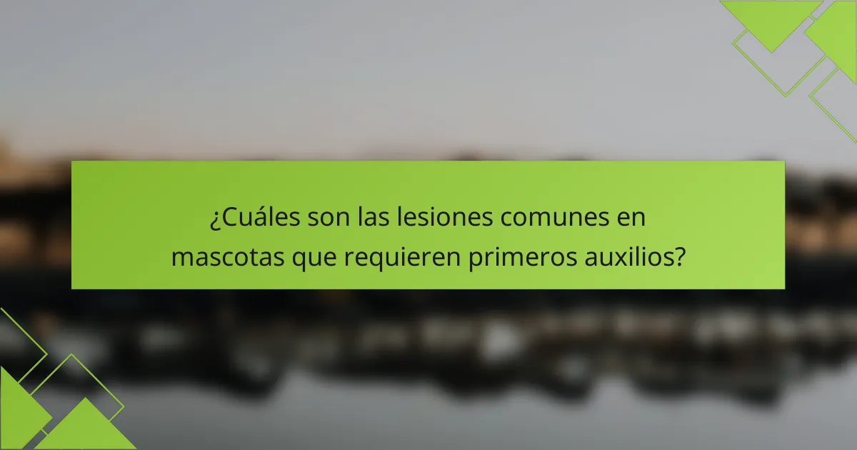 ¿Cuáles son las lesiones comunes en mascotas que requieren primeros auxilios?