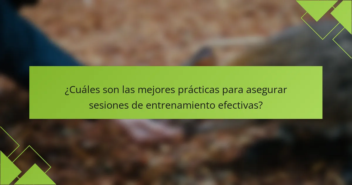 ¿Cuáles son las mejores prácticas para asegurar sesiones de entrenamiento efectivas?