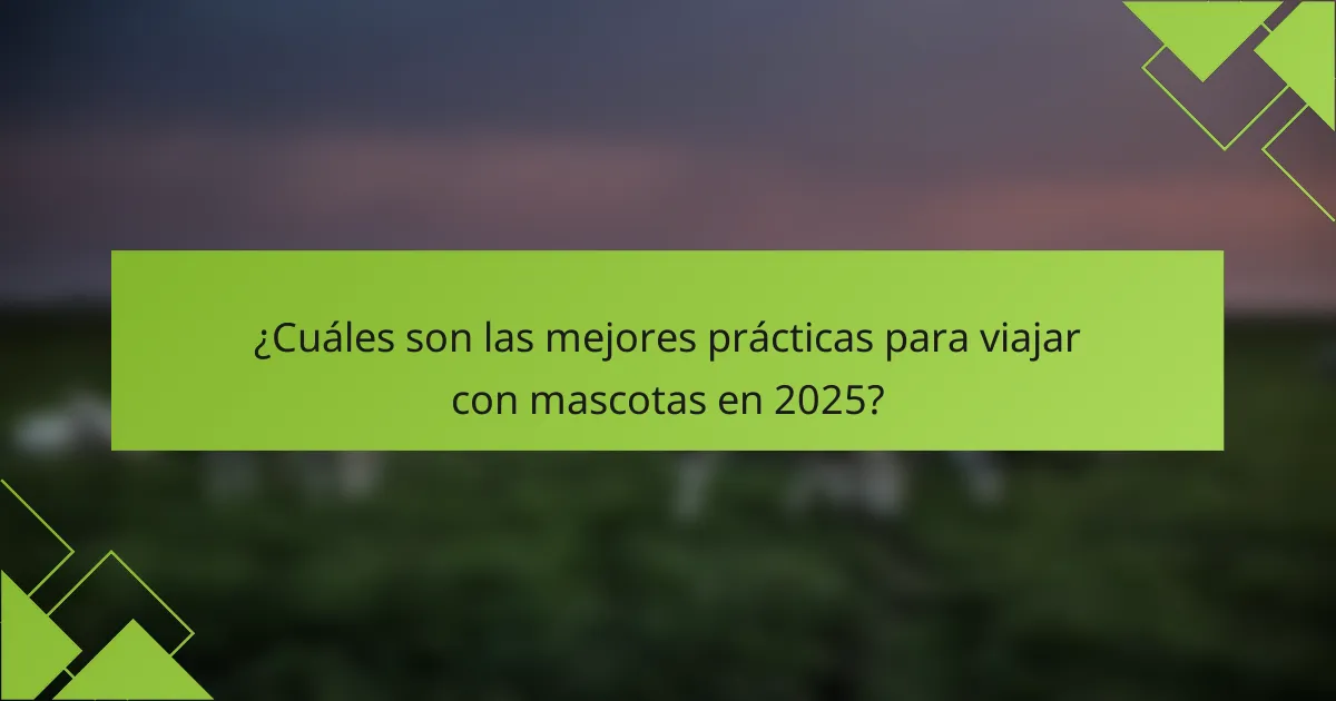 ¿Cuáles son las mejores prácticas para viajar con mascotas en 2025?