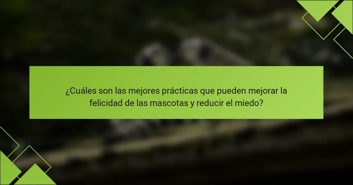 ¿Cuáles son las mejores prácticas que pueden mejorar la felicidad de las mascotas y reducir el miedo?