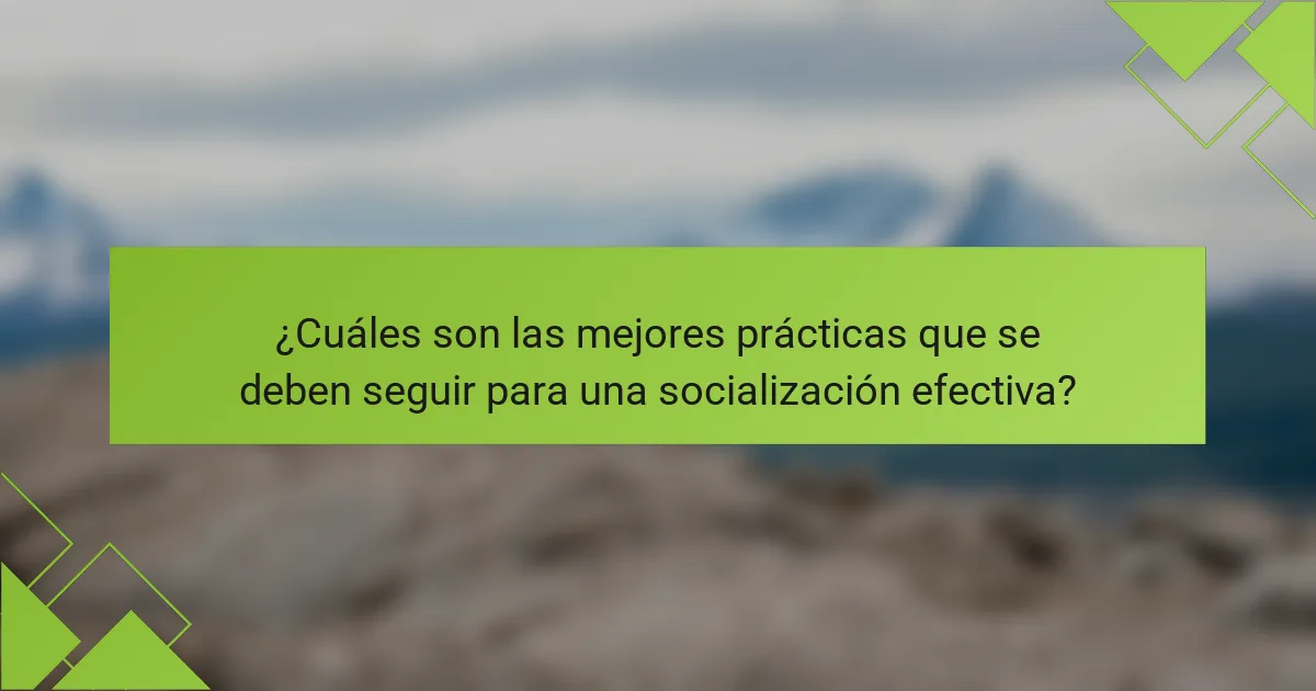 ¿Cuáles son las mejores prácticas que se deben seguir para una socialización efectiva?