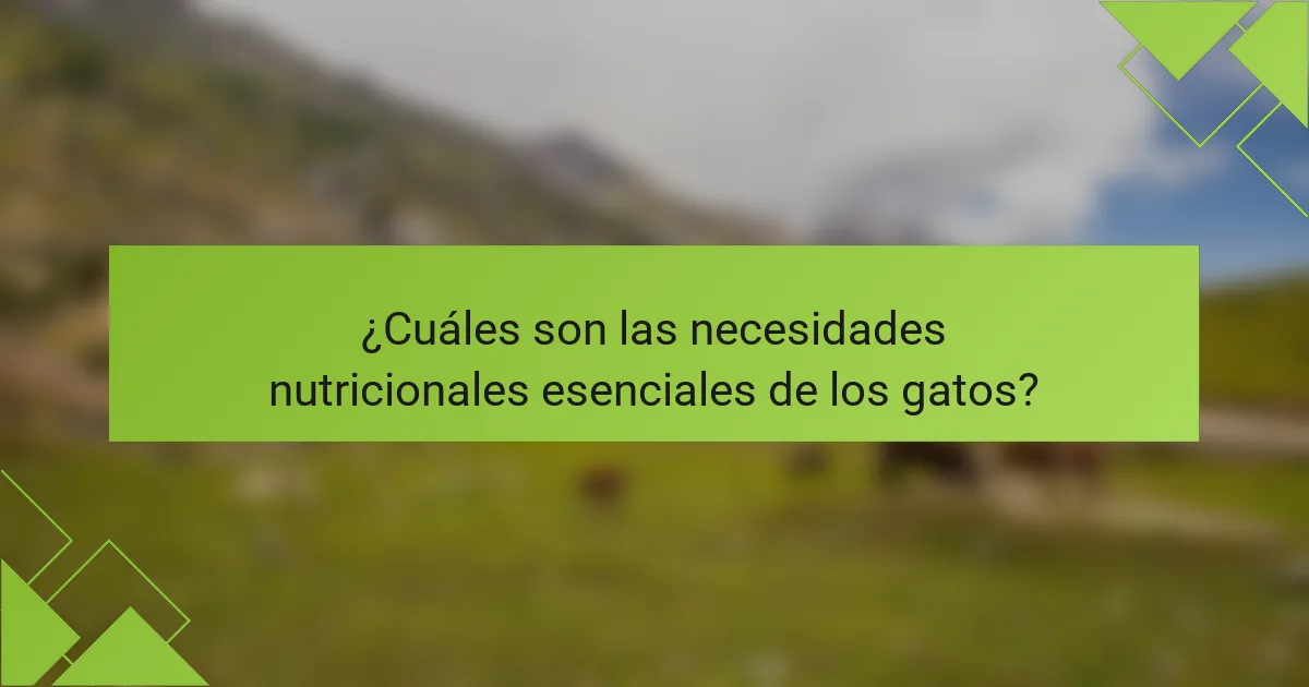 ¿Cuáles son las necesidades nutricionales esenciales de los gatos?
