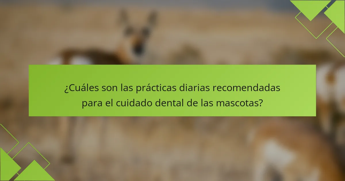 ¿Cuáles son las prácticas diarias recomendadas para el cuidado dental de las mascotas?