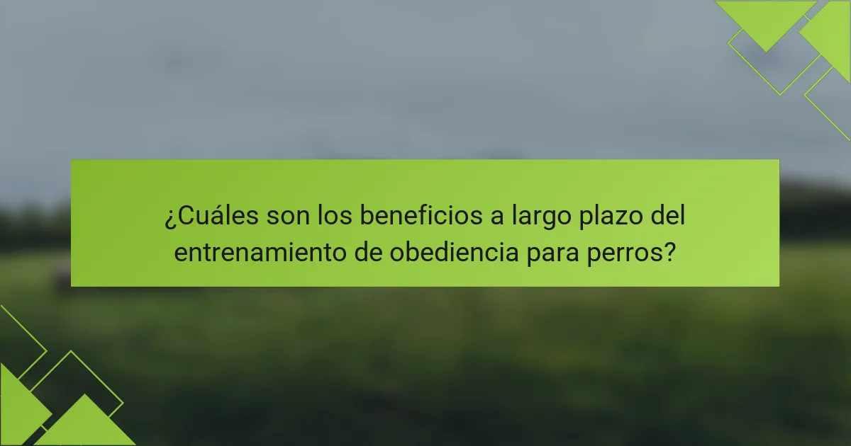 ¿Cuáles son los beneficios a largo plazo del entrenamiento de obediencia para perros?