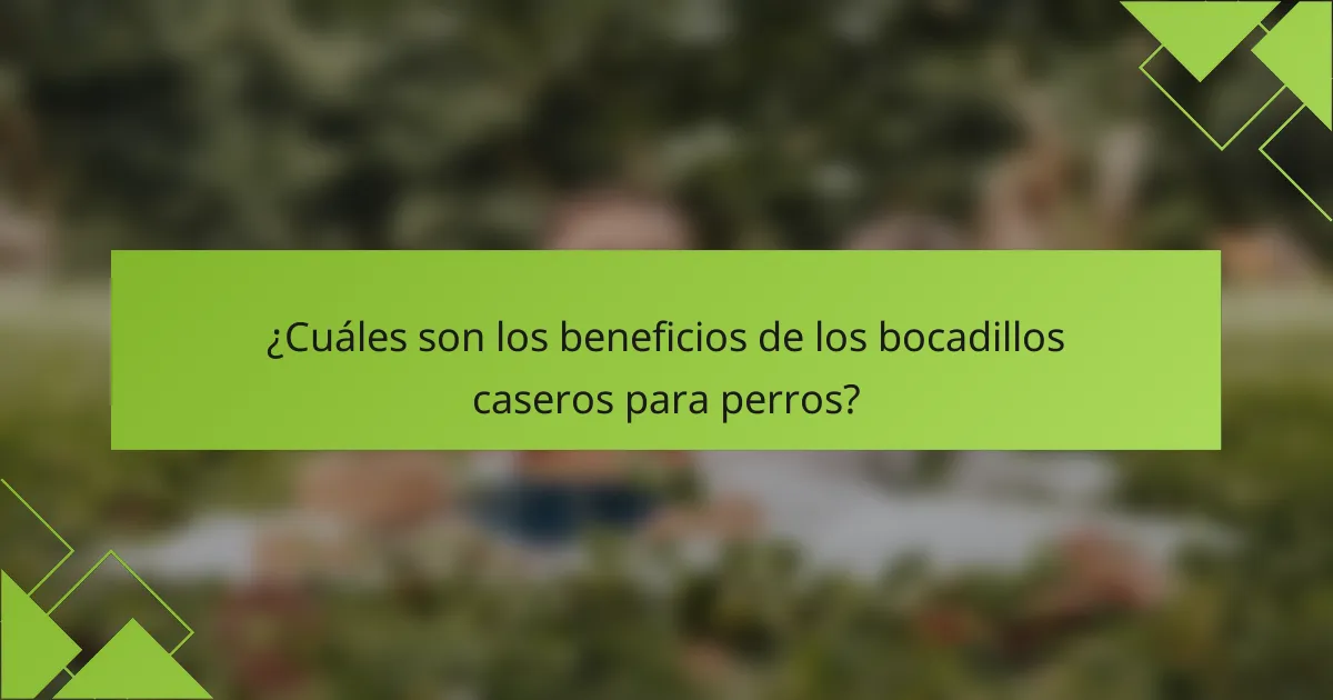 ¿Cuáles son los beneficios de los bocadillos caseros para perros?