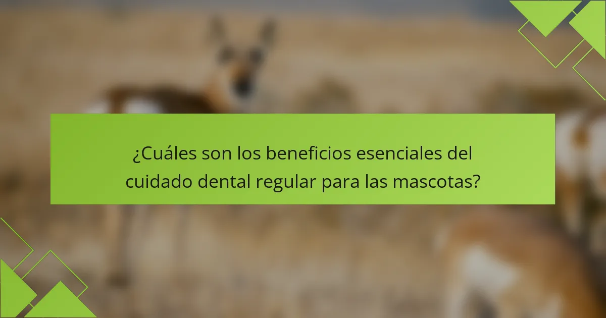 ¿Cuáles son los beneficios esenciales del cuidado dental regular para las mascotas?