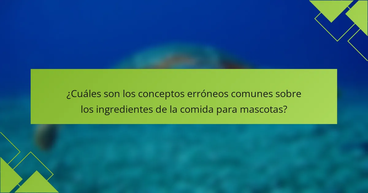 ¿Cuáles son los conceptos erróneos comunes sobre los ingredientes de la comida para mascotas?