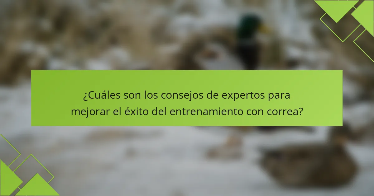 ¿Cuáles son los consejos de expertos para mejorar el éxito del entrenamiento con correa?