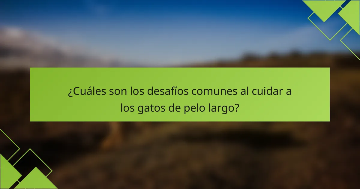 ¿Cuáles son los desafíos comunes al cuidar a los gatos de pelo largo?