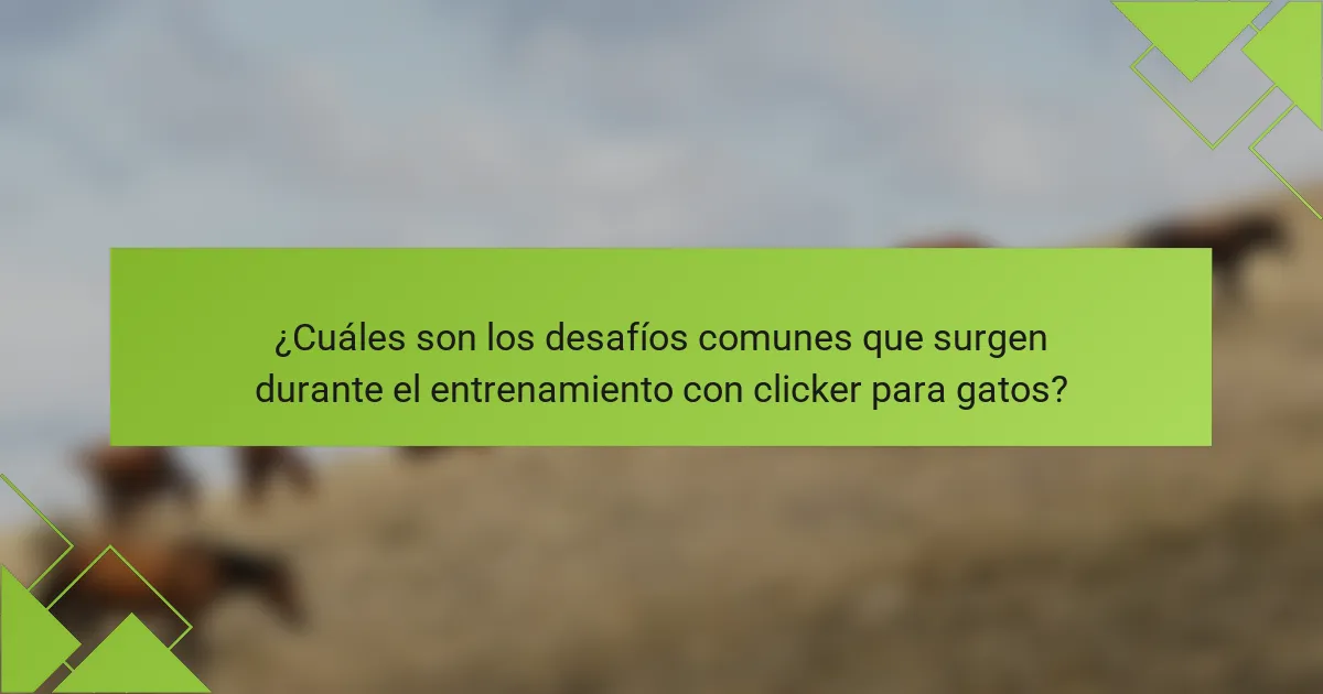¿Cuáles son los desafíos comunes que surgen durante el entrenamiento con clicker para gatos?