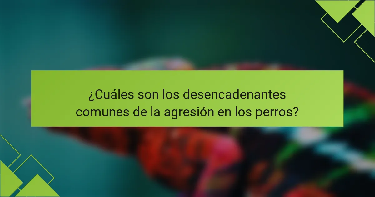 ¿Cuáles son los desencadenantes comunes de la agresión en los perros?