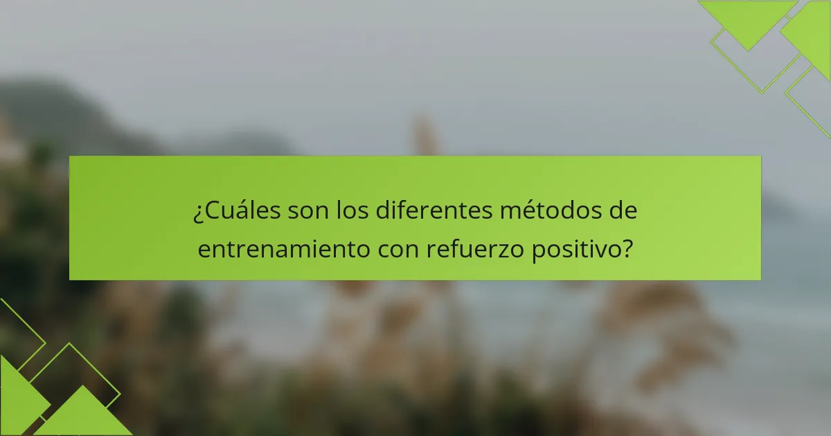 ¿Cuáles son los diferentes métodos de entrenamiento con refuerzo positivo?