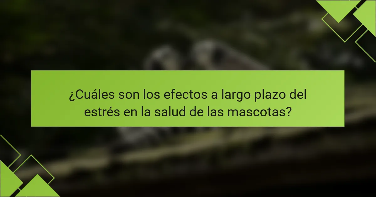 ¿Cuáles son los efectos a largo plazo del estrés en la salud de las mascotas?