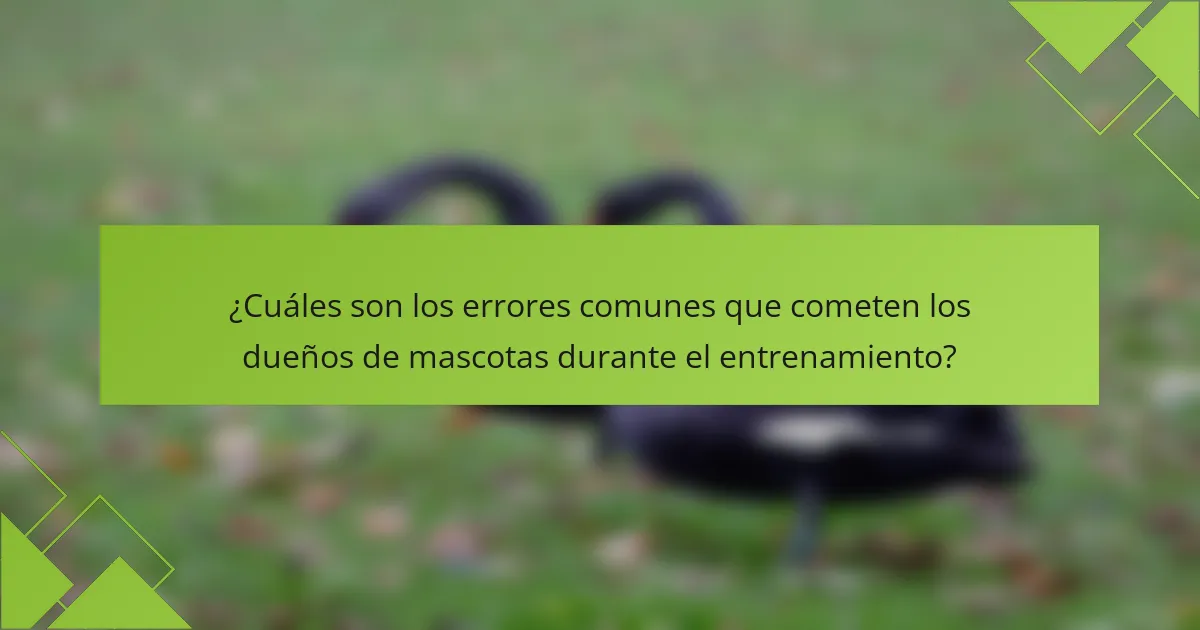 ¿Cuáles son los errores comunes que cometen los dueños de mascotas durante el entrenamiento?