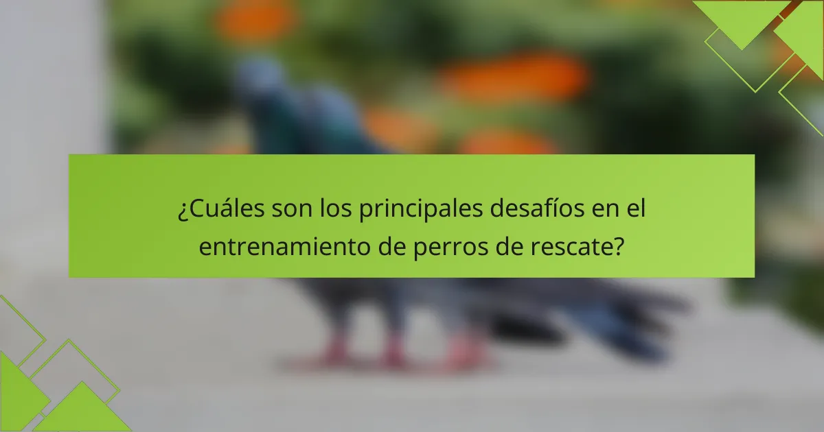 ¿Cuáles son los principales desafíos en el entrenamiento de perros de rescate?