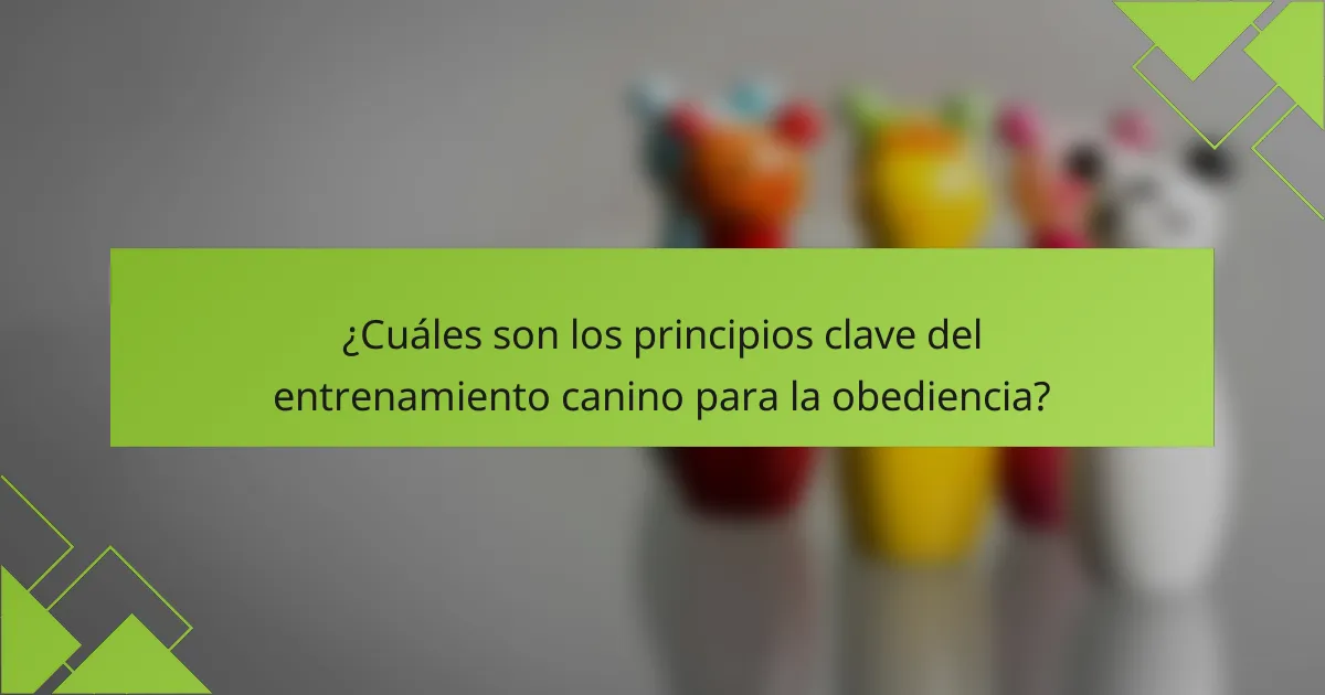 ¿Cuáles son los principios clave del entrenamiento canino para la obediencia?