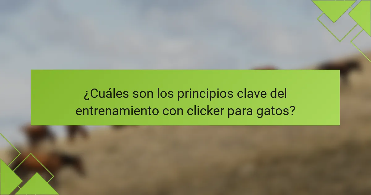 ¿Cuáles son los principios clave del entrenamiento con clicker para gatos?