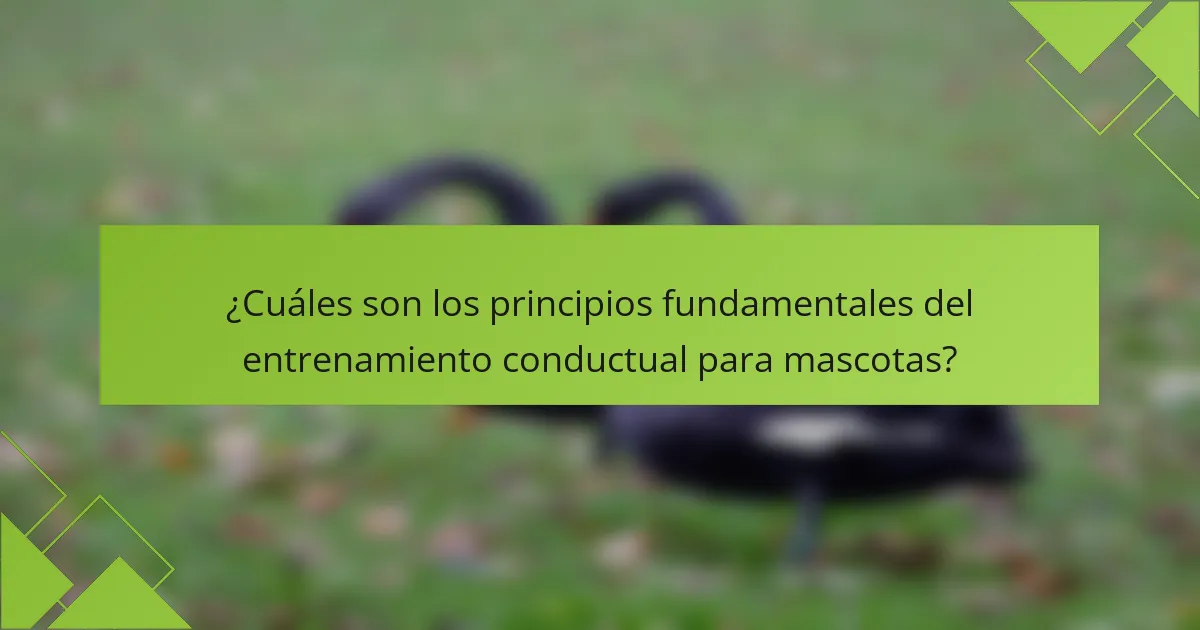 ¿Cuáles son los principios fundamentales del entrenamiento conductual para mascotas?