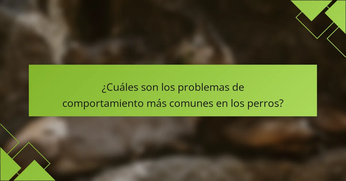 ¿Cuáles son los problemas de comportamiento más comunes en los perros?