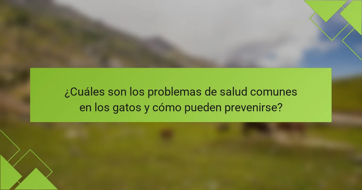 ¿Cuáles son los problemas de salud comunes en los gatos y cómo pueden prevenirse?