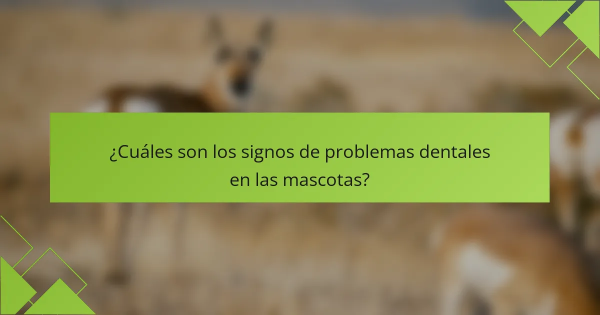 ¿Cuáles son los signos de problemas dentales en las mascotas?