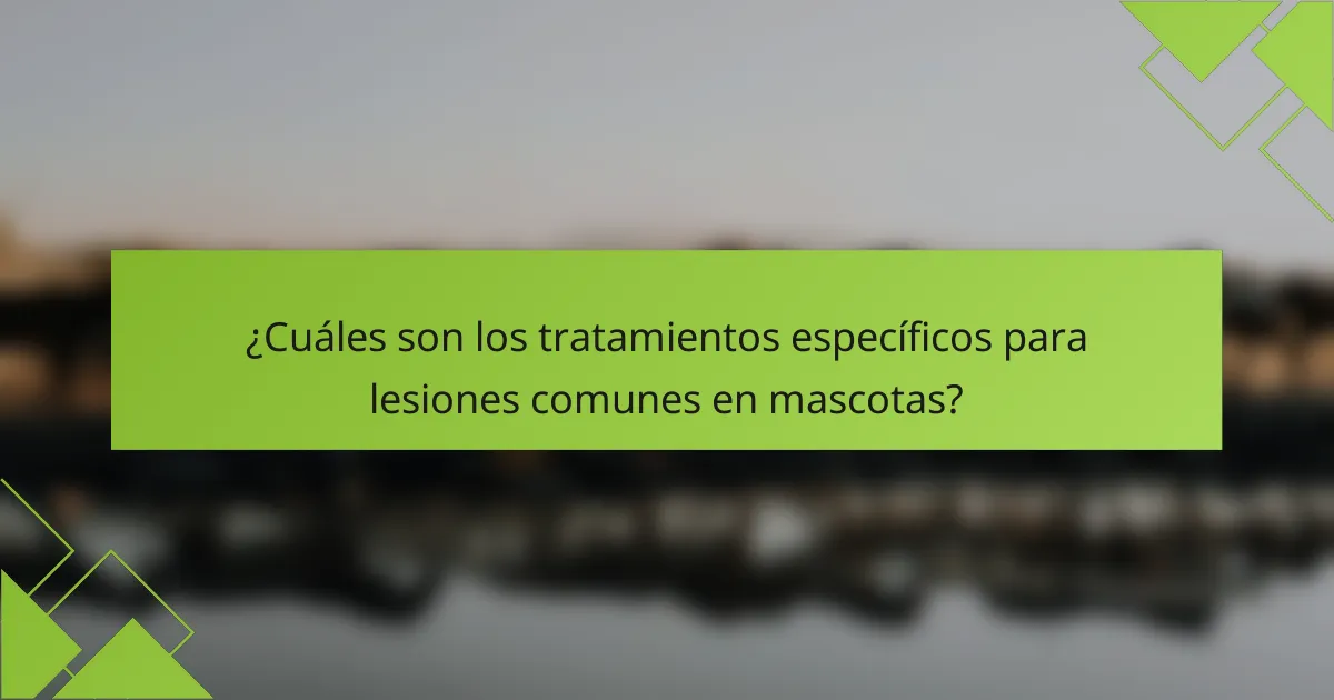 ¿Cuáles son los tratamientos específicos para lesiones comunes en mascotas?